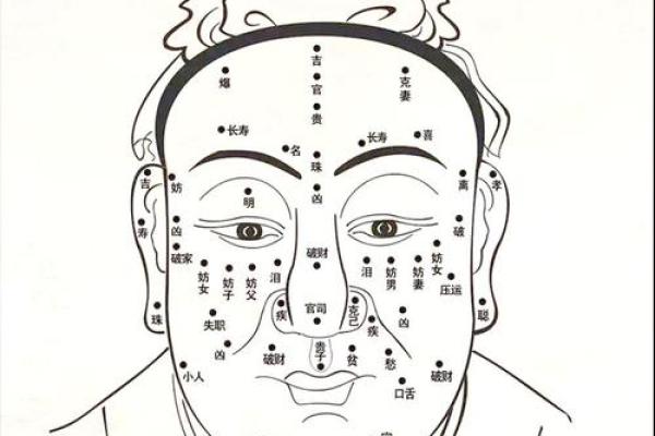揭开元斌命理的命运密码,掌握人生的关键! 揭开元斌命理的命运密码,掌握人生的关键!
