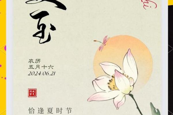 夏至节气养生智慧与天文奥秘 夏至节气养生智慧与天文奥秘