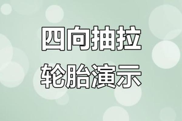 五行格局下的轮胎性格:你的轮胎告诉你什么? 五行格局下的轮胎性格:你的轮胎告诉你什么?
