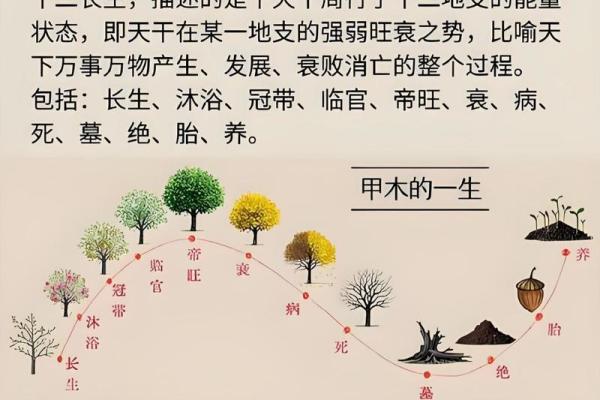 五行格局下的轮胎性格:你的轮胎告诉你什么? 五行格局下的轮胎性格:你的轮胎告诉你什么?