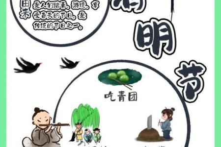 清明节的祭祖习俗与养生智慧