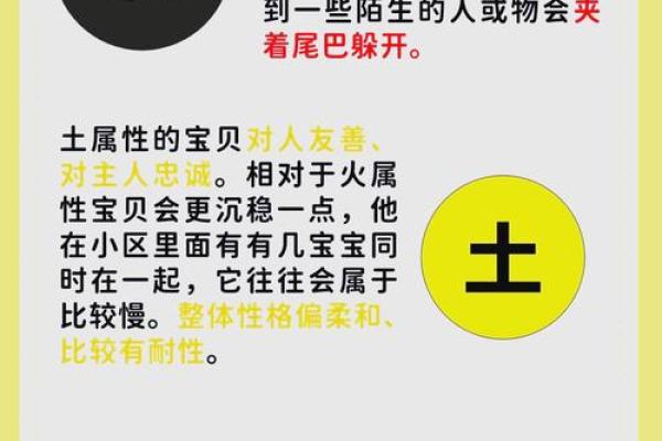 五行格局反而让你更强大?揭秘性格塑造的隐藏秘密 五行格局反而让你更强大?揭秘性格塑造的隐藏秘密