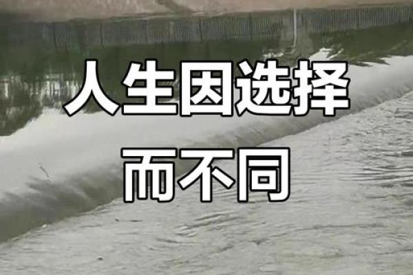 颠覆常识,手机号如何改变你的人生轨迹 颠覆常识,手机号如何改变你的人生轨迹