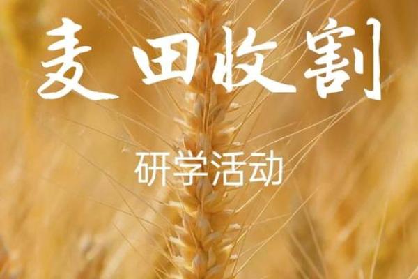 十月初五与农耕节令的密切关系:古老的收获仪式 十月初五与农耕节令的密切关系:古老的收获仪式