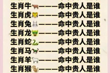十二生肖命理中的命运密码，如何破解命运的隐秘之门