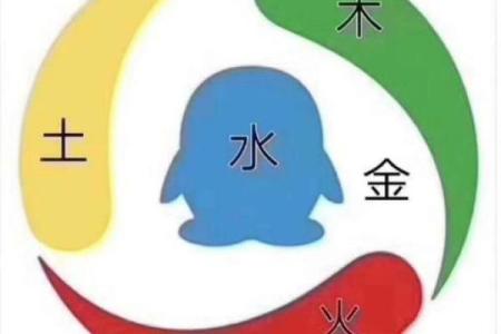 浩五行属性误区大揭秘：颠覆传统，反而更懂自己