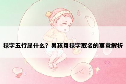 禄字五行属什么？男孩用禄字取名的寓意解析