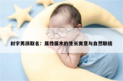 封字男孩取名：属性属木的生长寓意与自然联结
