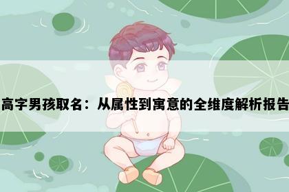 高字男孩取名：从属性到寓意的全维度解析报告