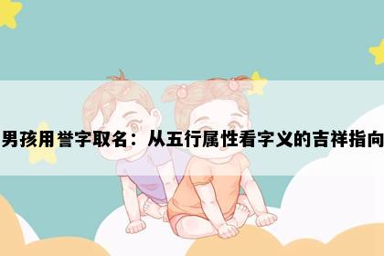 男孩用誉字取名：从五行属性看字义的吉祥指向