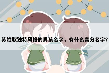 苏姓取独特风格的男孩名字，有什么高分名字？