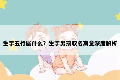 生字五行属什么？生字男孩取名寓意深度解析