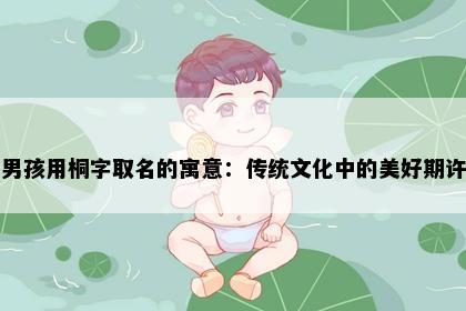男孩用桐字取名的寓意：传统文化中的美好期许