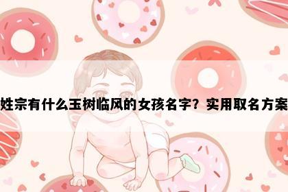 姓宗有什么玉树临风的女孩名字？实用取名方案