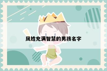 凤姓充满智慧的男孩名字
