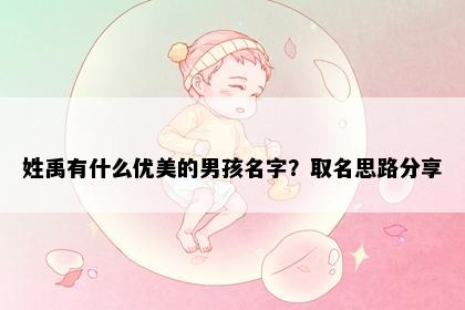 姓禹有什么优美的男孩名字？取名思路分享