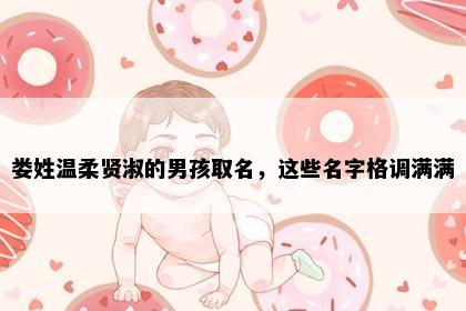 娄姓温柔贤淑的男孩取名，这些名字格调满满